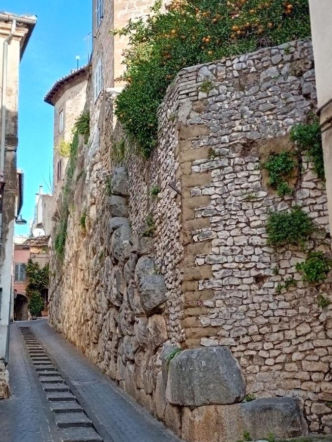 Apartmán La Terrazza Cori Exteriér fotografie